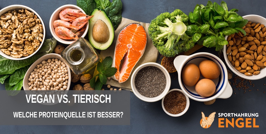 Welche Proteinquelle ist besser? Vegetarisches oder Tierisches Protein