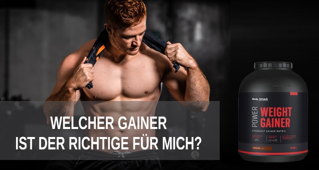 Weight Gainer passend zum Körpertyp finden