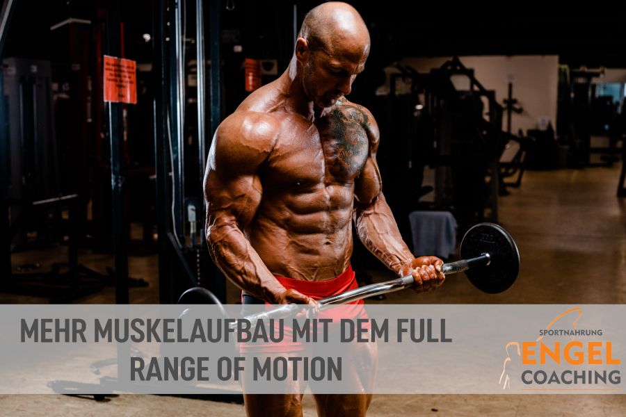 Mehr Muskelaufbau mit dem Full Range of Motion