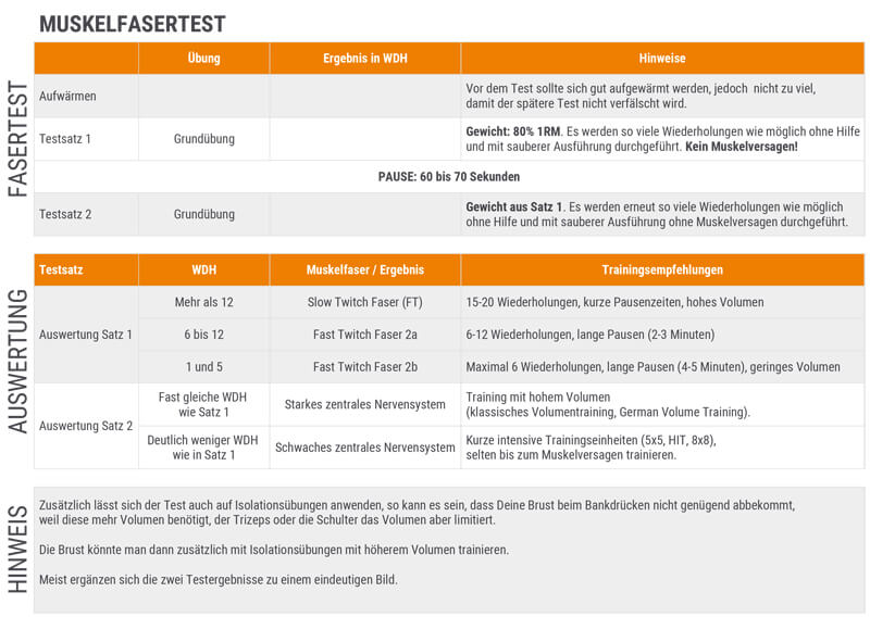 Kostenloser Muskelfasertest