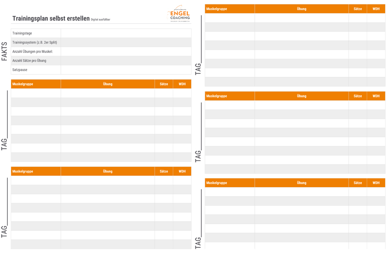 PDF Blanko Vorlage zum erstellen eines Trainingsplans