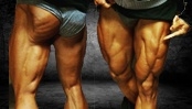 Beintraining im Klassik Bodybuilding
