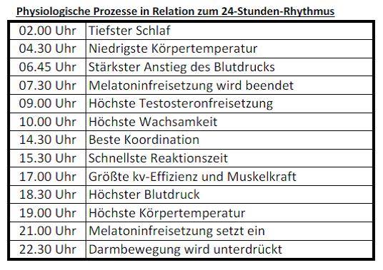 Physiologische Prozesse des Körpers während Tag und Nacht