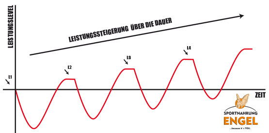 Leistungskurve der Superkompensation