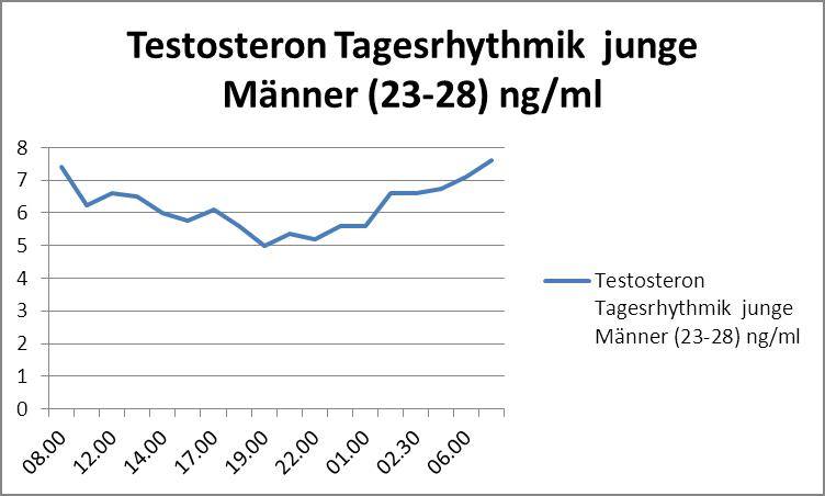 Testosteron Tagesverlauf für Männer von morgens bis abends