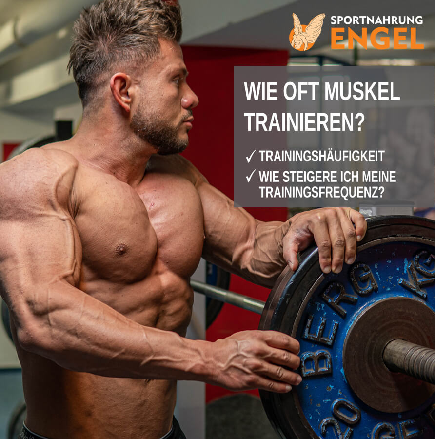 Trainingshäufigkeit - Wie oft sollte ich meinen Muskel trainieren?