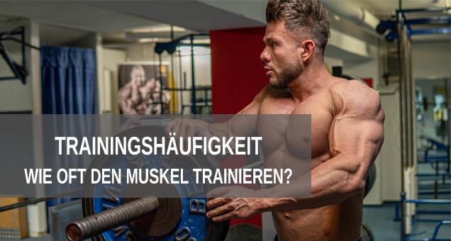 Trainingshäufigkeit xs