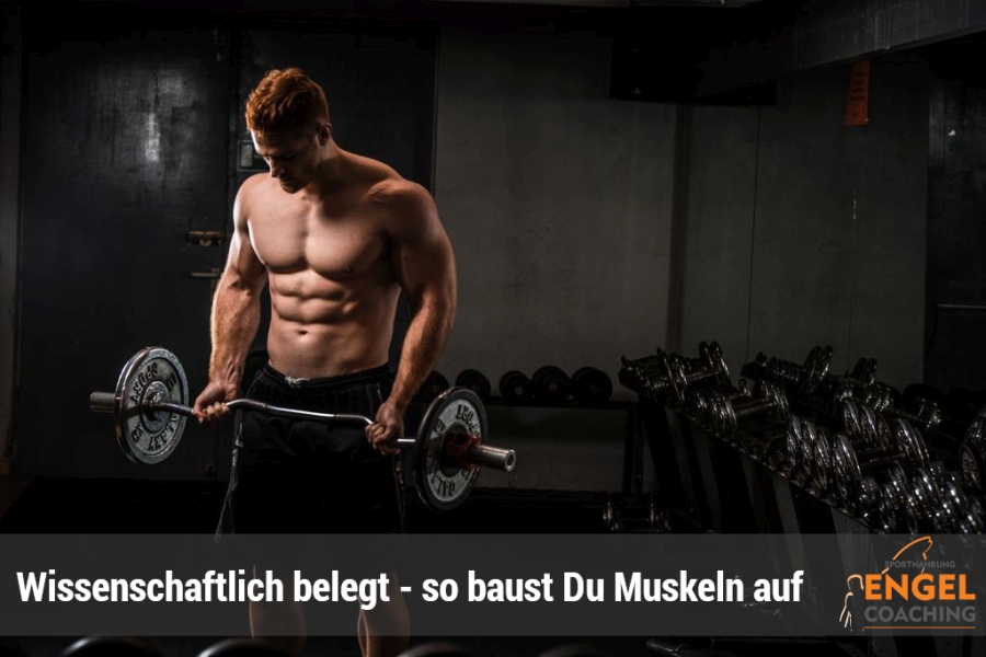 So kannst Du ganz sicher Muskeln aufbauen - wissenschaftlich belegt? 11 wissenschaftliche Wege zum Muskelaufbau