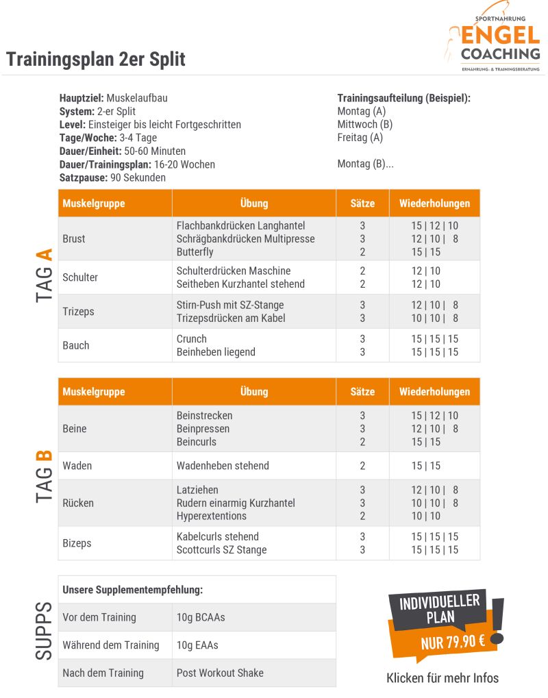 Trainingsplan Muskelaufbau 2er Split für Beginner und Fortgeschrittene