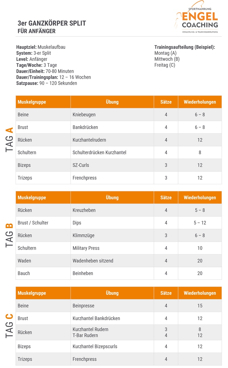 Drei Trainingstage im 3er Ganzkörper Spli