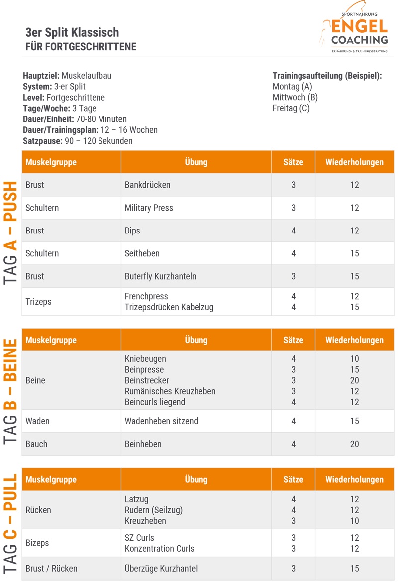 Drei Trainingstage im 3er Push Pull Beine Split