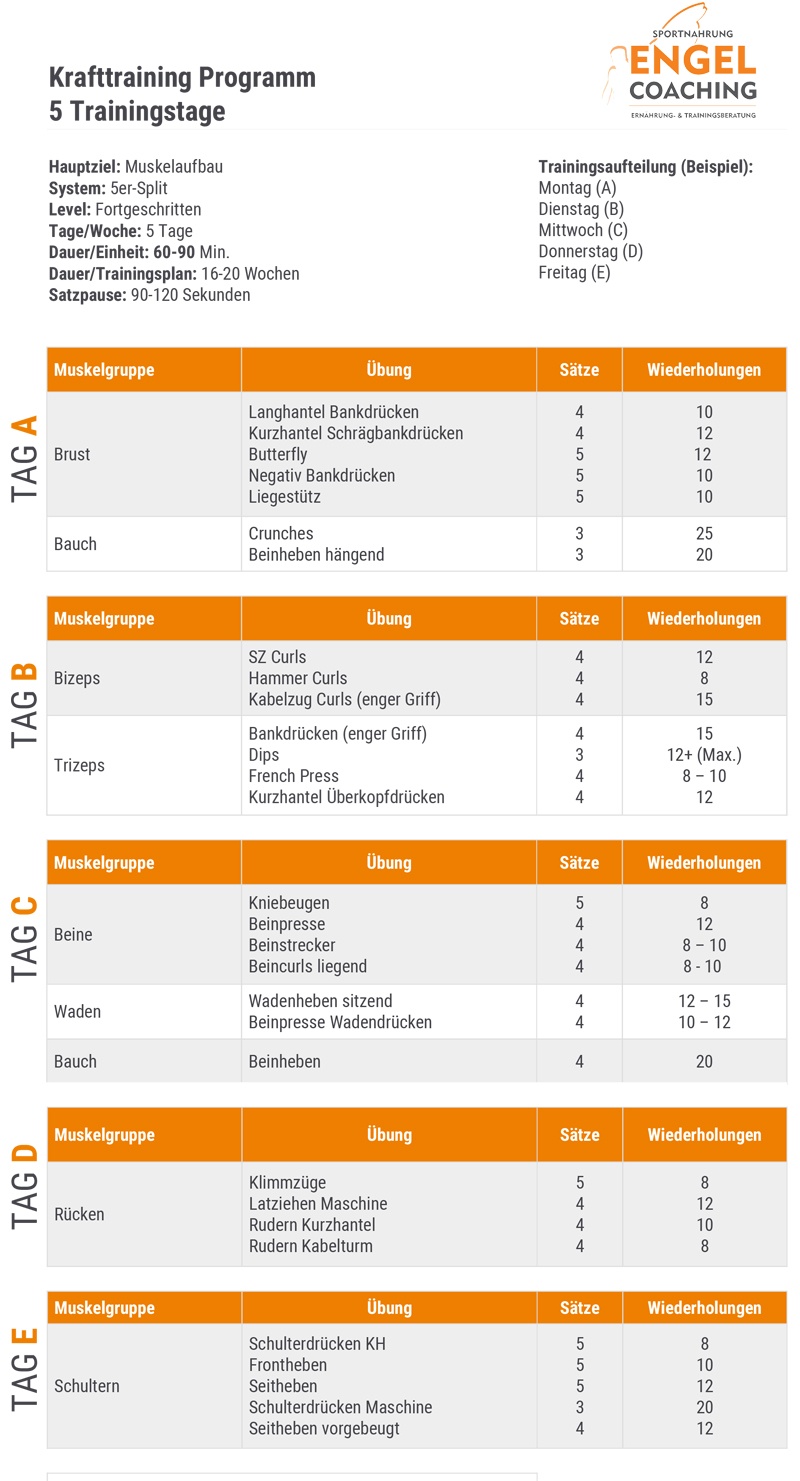 5 Trainingstage Kraftsport Programm