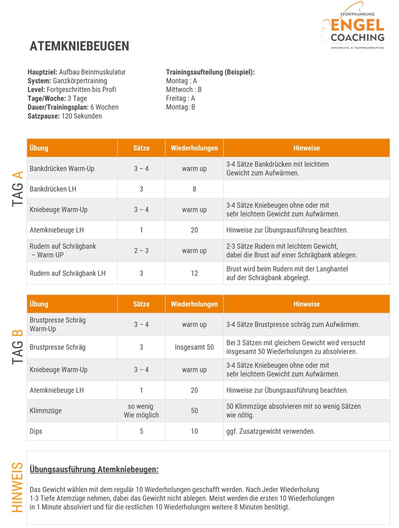 Trainingsplan PDF Atemkniebeugen Aufbau Beinmuskulatur