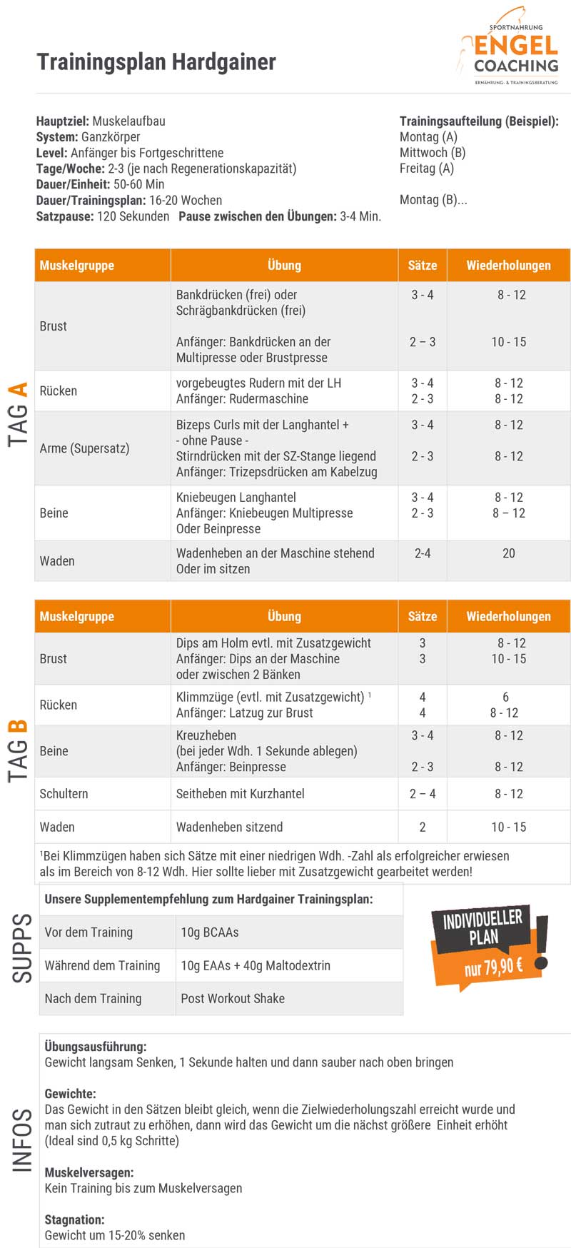 Hardgainer Trainingsplan Muskelaufbau für Anfänger bis Fortgeschrittene