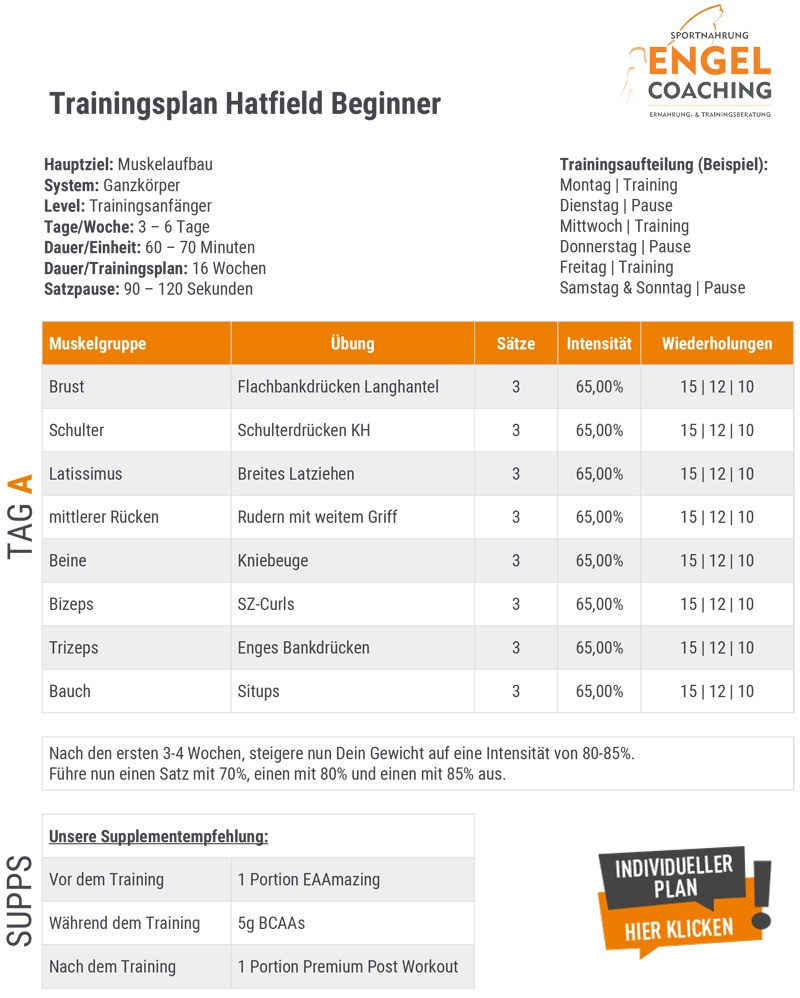 Trainingsplan nach dem Hatfield System für Beginner