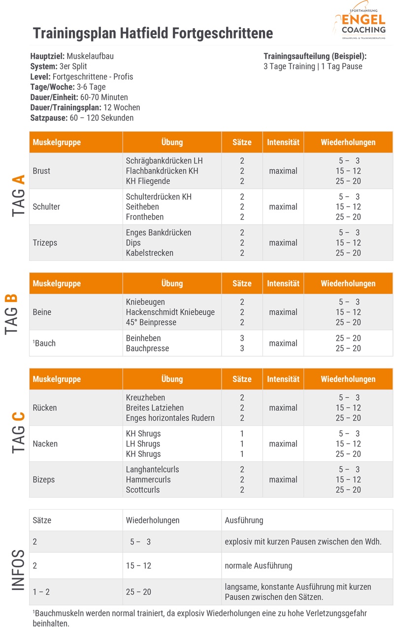 Trainingsplan nach dem Hatfield System für Fortgeschrittene