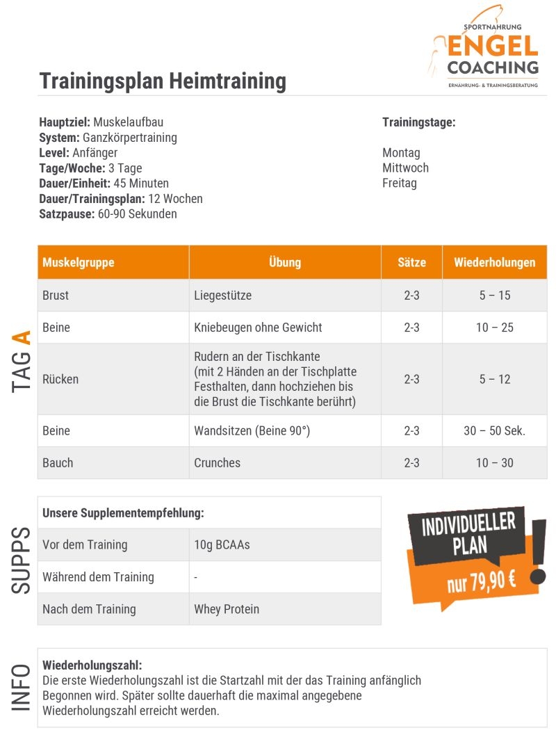 Heimtraining Trainingsplan zum Muskelaufbau für Änfänger