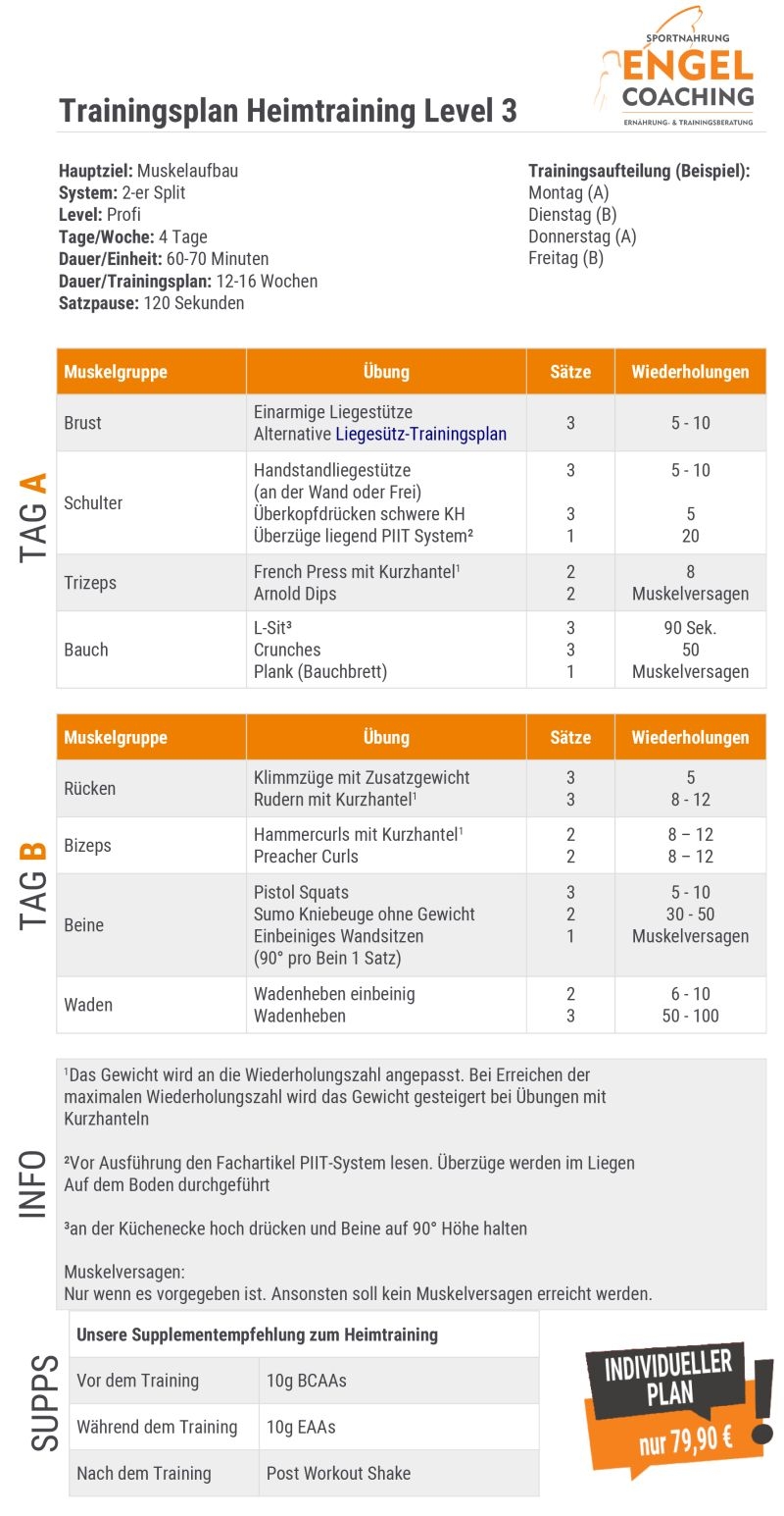 Heimtraining Trainingsplan zum Muskelaufbau für Profis