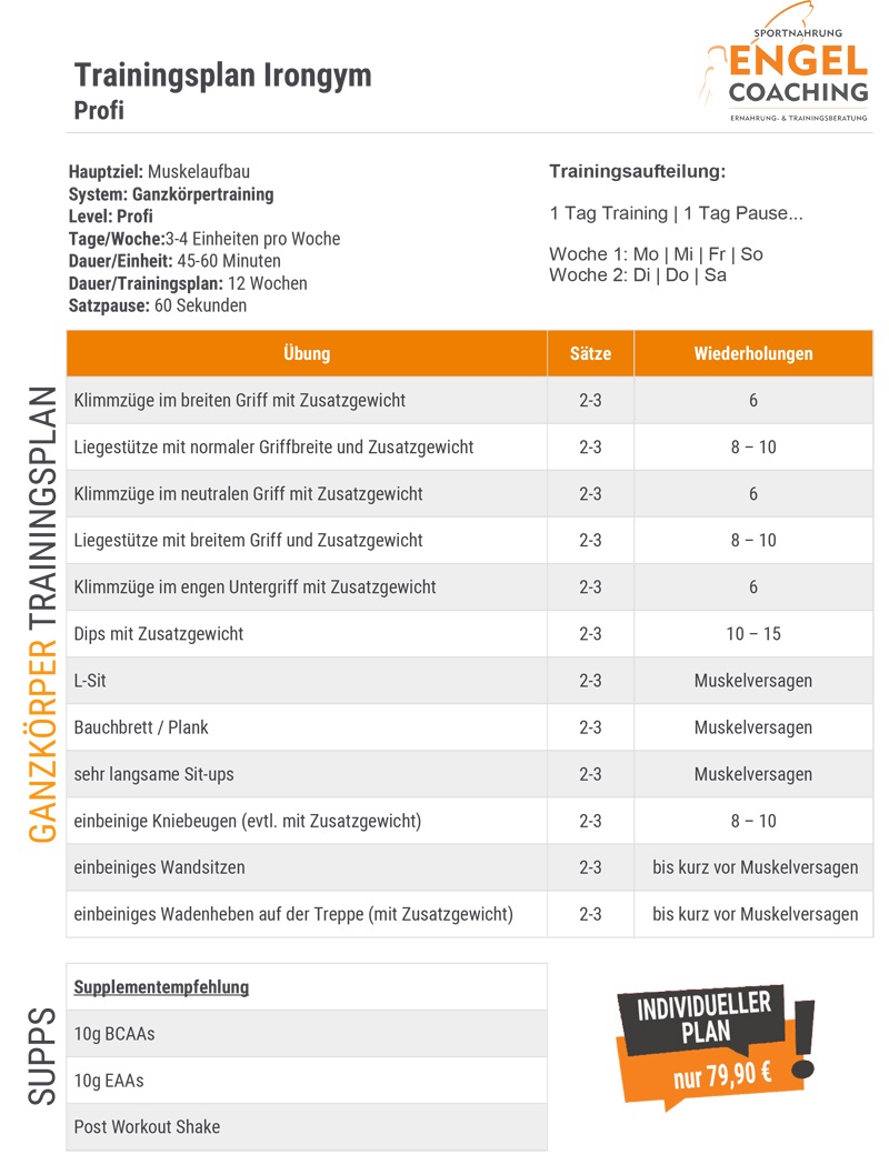 Irongym Trainingsplan für Profis