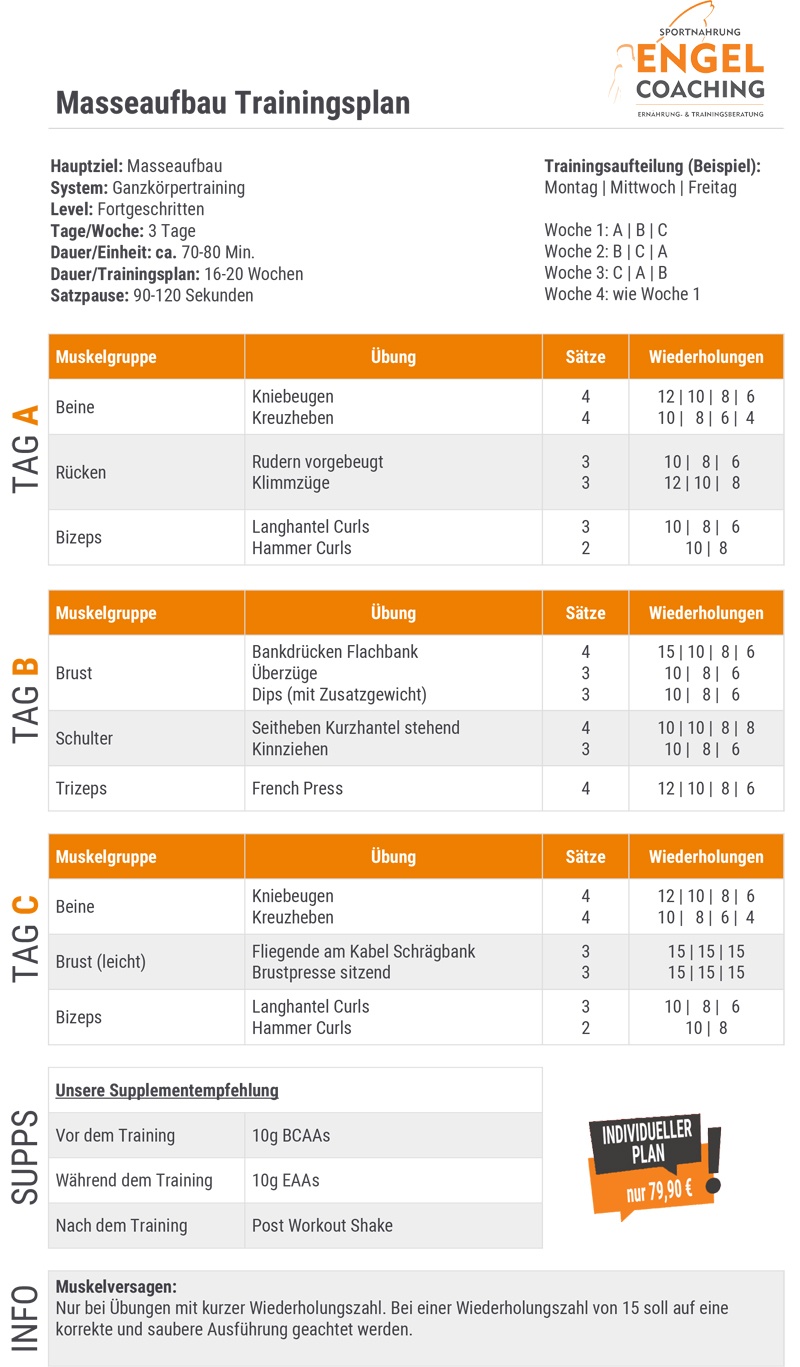 Trainingsplan zum optimalen Masseaufbau