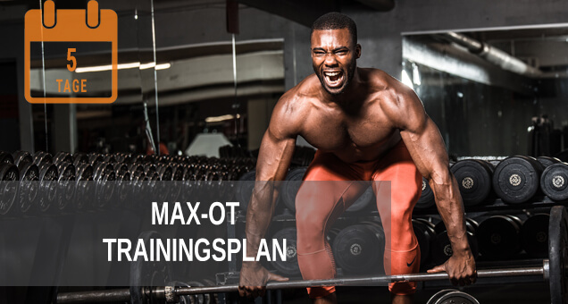 Gratis Max-OT Trainingsplan