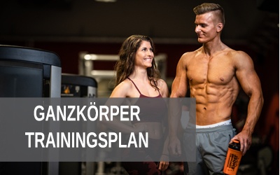 Ganzkörpertrainingsplan für Anfänger