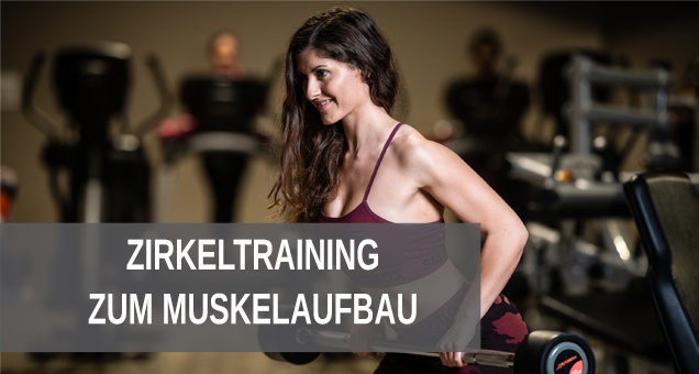 Beginner Zirkeltraining zum Muskelaufbau