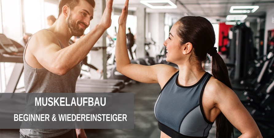 Beginner Trainingspläne zum Muskelaufbau