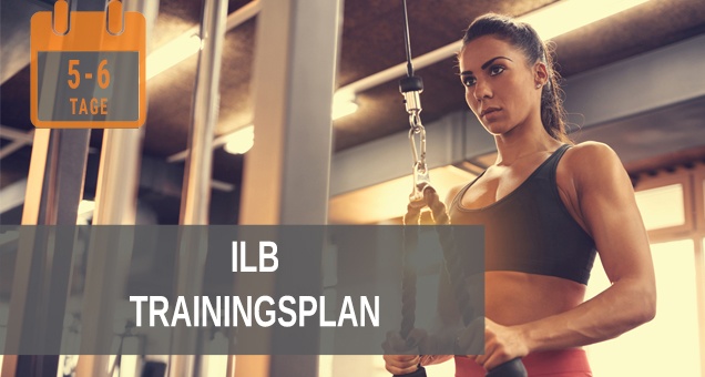 ILB Trainingsplan