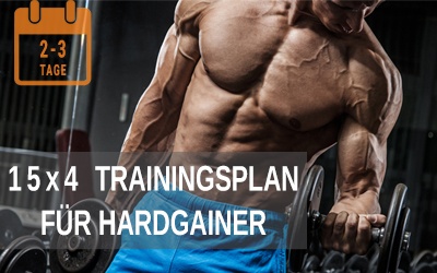15x4 Hardgainer Trainingsplan zum Aufbau von Muskulatur