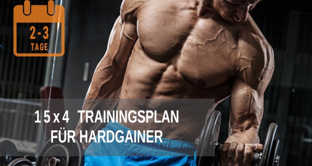 15x4 Trainingsplan für Hardgainer zum Muskelaufbau