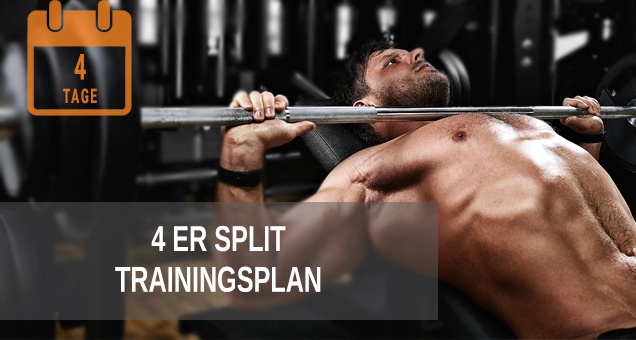 4er Split Trainingsplan zum Muskelaufbau