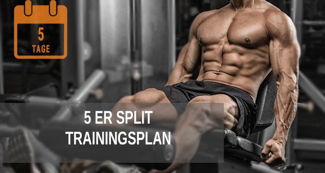 5er Split Trainingsplan für Bodybuilding und Fitness