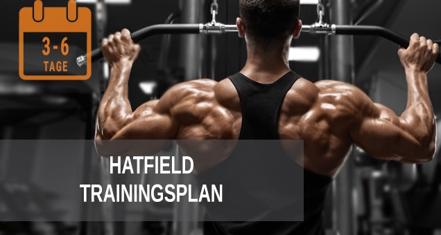 Hatfield Trainingsplan