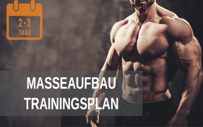 Masseaufbau Trainingsplan