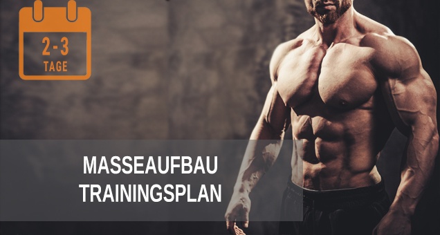 Trainingsplan zum Aufbau von Masse, Kraft und Muskulatur