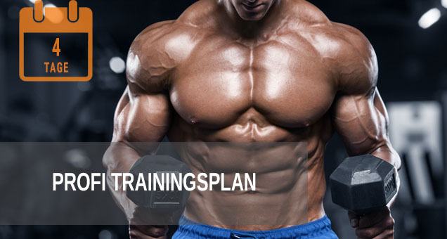Profi Trainingsplan Muskelaufbau im Bodybuilding und Fitnesstraining
