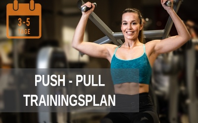 Push Pull 2er Split Trainingsplan zum Muskelaufbau