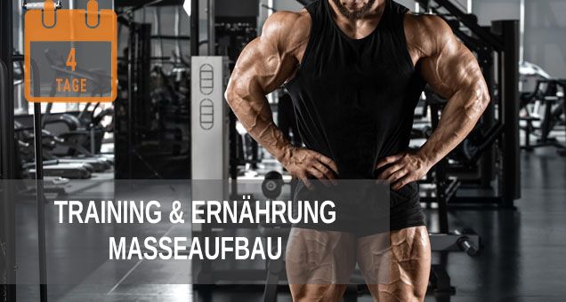 Trainingsplan Masseaufbau