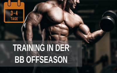 Training in der Bodybuilding off Season für mehr Masse