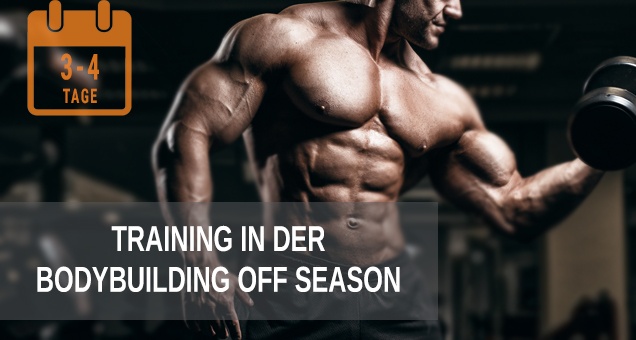 Trainingsplan Bodybuilding Off Season