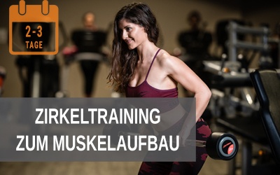 Zirkeltraining zum Muskelaufbau