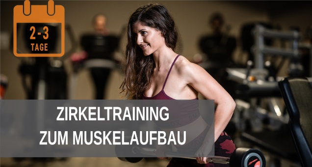 Zirkeltraining zum Muskelaufbau mobil