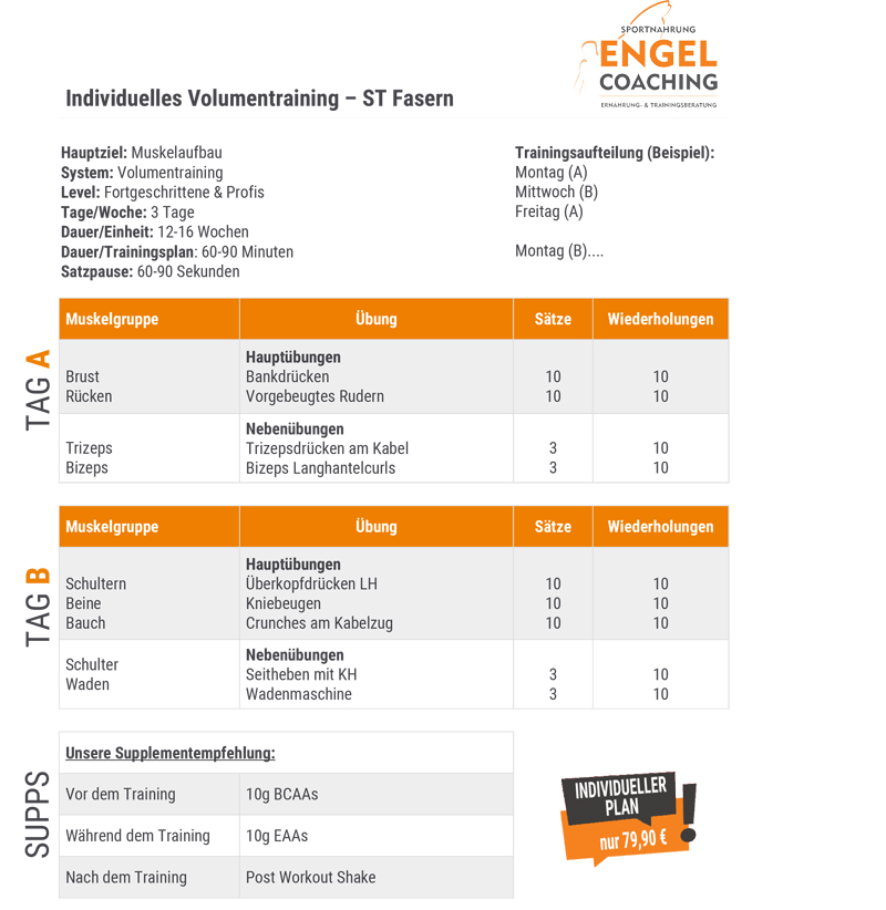 | Volumentraining Sportnahrung Engel Individuelles Training