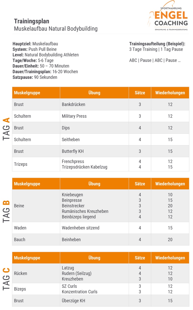 Natural Bodybuilding Muskelaufbau Trainingsplan