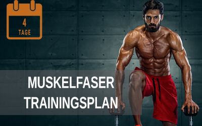 Muskelfasertraining lg