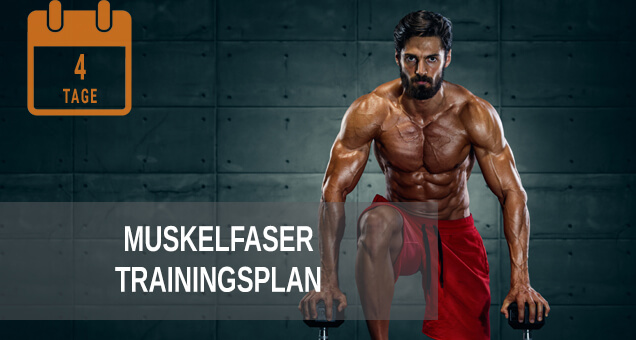 Muskelfaser Trainingsplan XS