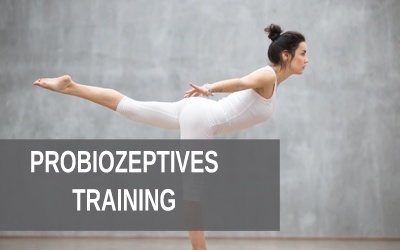 propriozeptives training lg