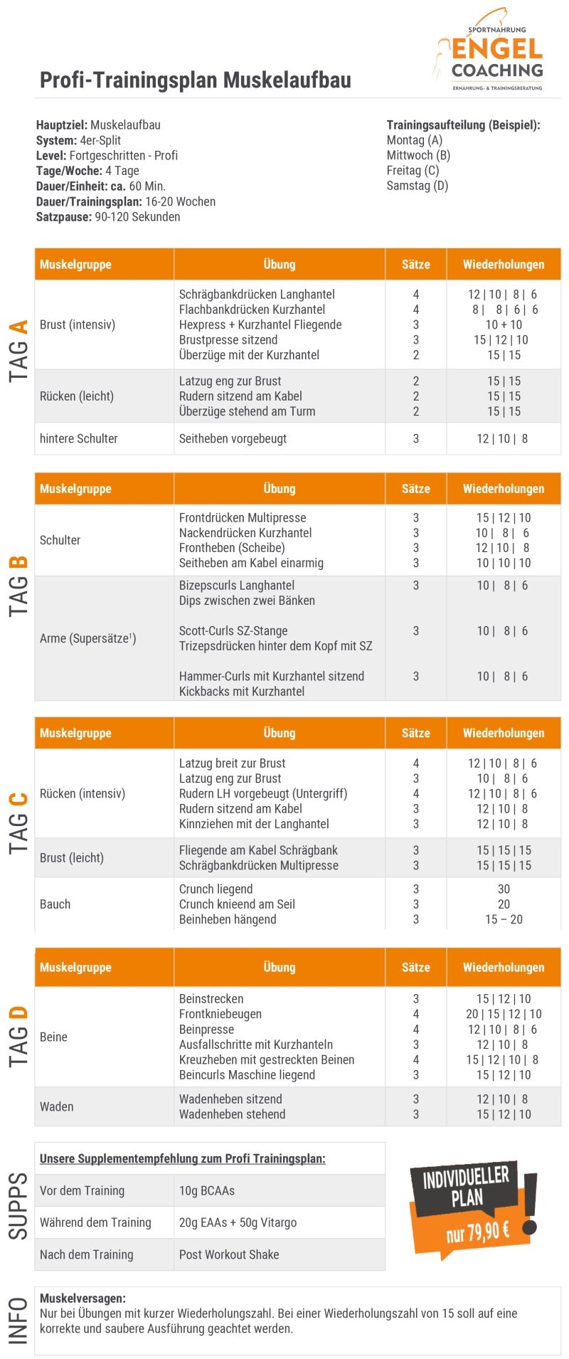 Profi Trainingsplan zum Muskelaufbau