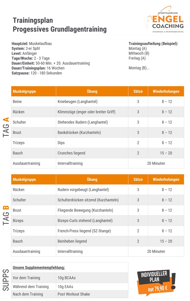 Trainingsplan Progressives Grundlagentraining